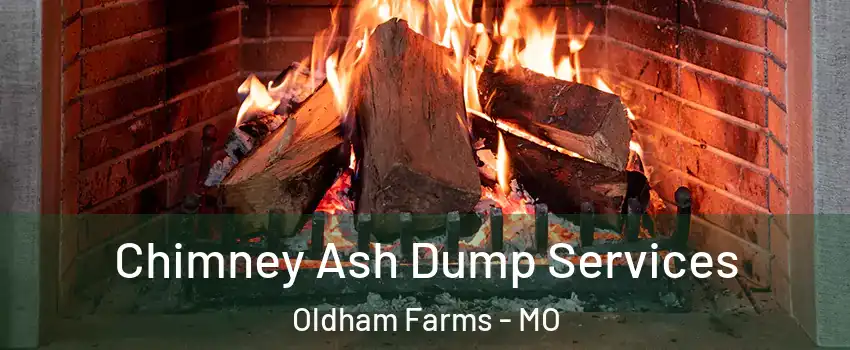 Chimney Ash Dump Services Oldham Farms - MO