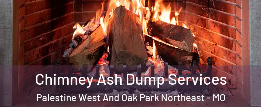 Chimney Ash Dump Services Palestine West And Oak Park Northeast - MO