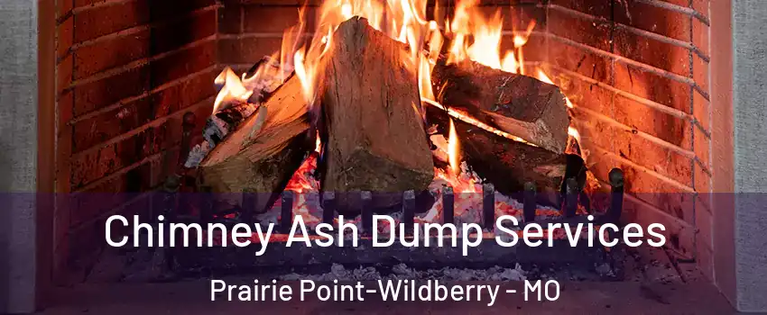 Chimney Ash Dump Services Prairie Point-Wildberry - MO