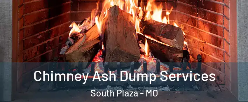 Chimney Ash Dump Services South Plaza - MO