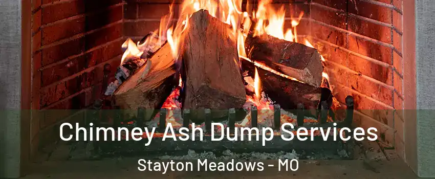 Chimney Ash Dump Services Stayton Meadows - MO