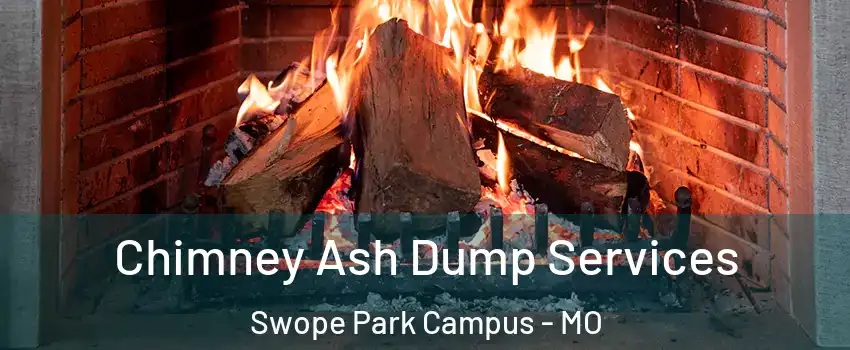 Chimney Ash Dump Services Swope Park Campus - MO