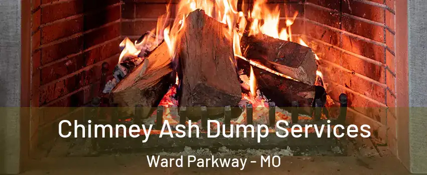 Chimney Ash Dump Services Ward Parkway - MO