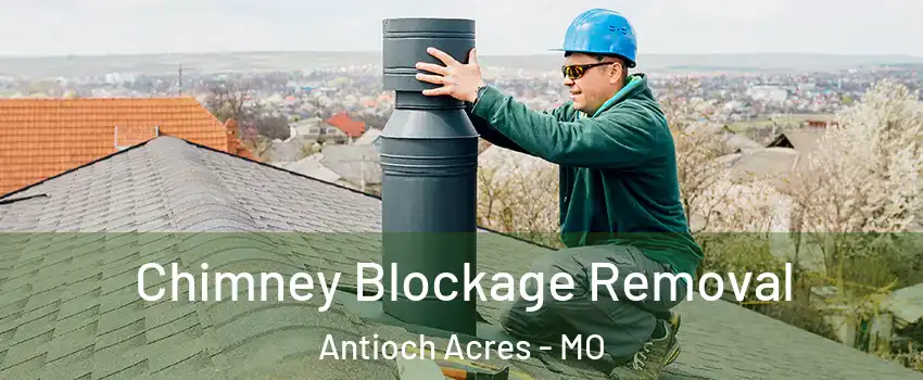 Chimney Blockage Removal Antioch Acres - MO