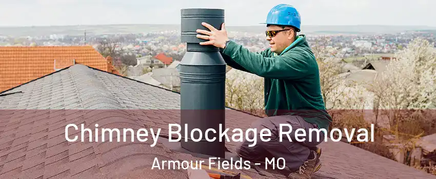 Chimney Blockage Removal Armour Fields - MO