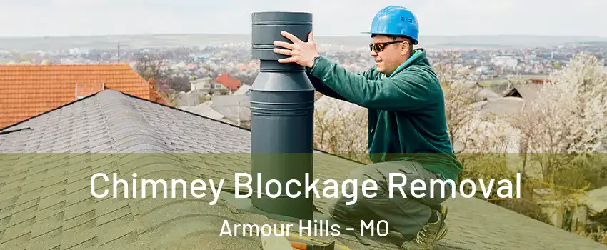 Chimney Blockage Removal Armour Hills - MO