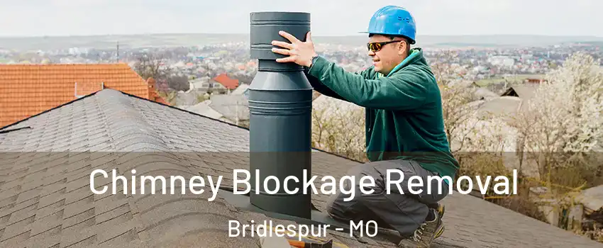 Chimney Blockage Removal Bridlespur - MO