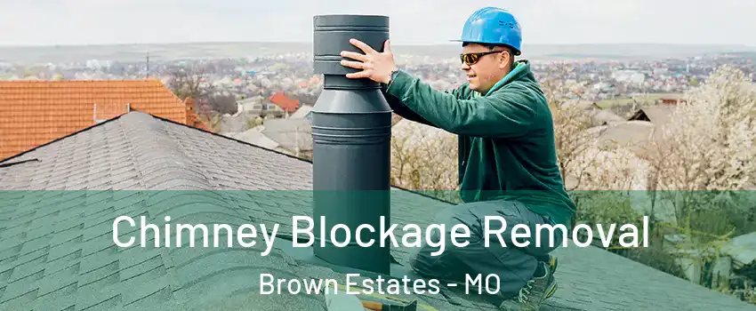 Chimney Blockage Removal Brown Estates - MO