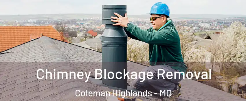 Chimney Blockage Removal Coleman Highlands - MO