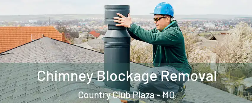 Chimney Blockage Removal Country Club Plaza - MO