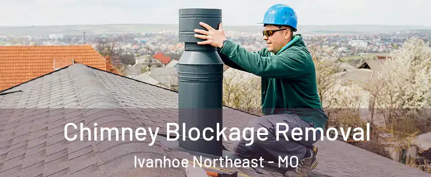 Chimney Blockage Removal Ivanhoe Northeast - MO