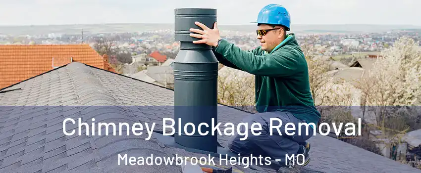 Chimney Blockage Removal Meadowbrook Heights - MO