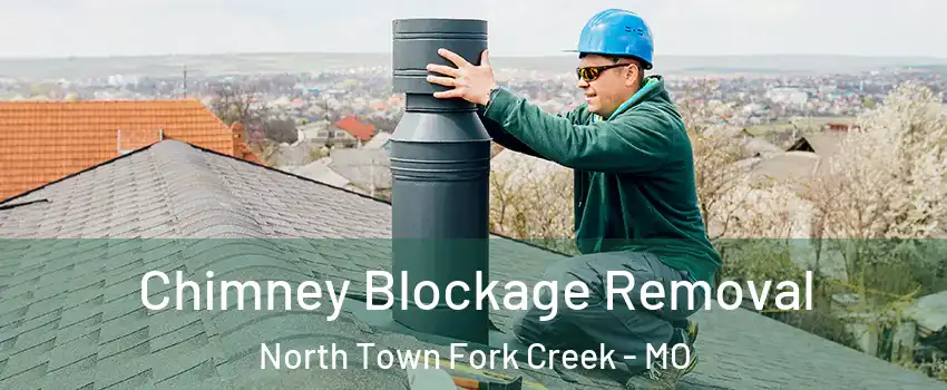 Chimney Blockage Removal North Town Fork Creek - MO