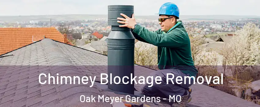 Chimney Blockage Removal Oak Meyer Gardens - MO