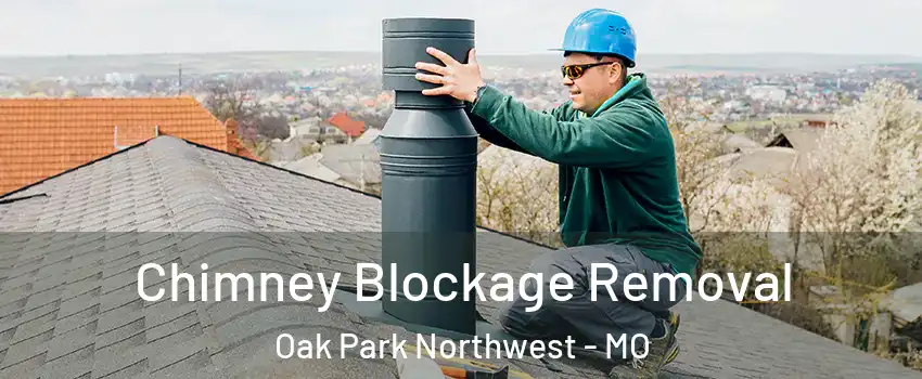 Chimney Blockage Removal Oak Park Northwest - MO