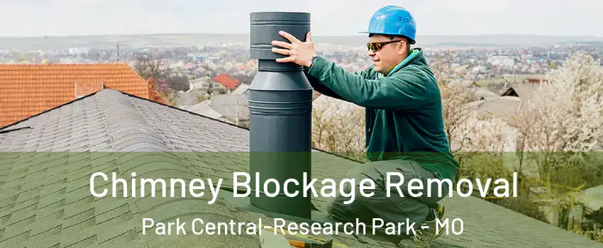 Chimney Blockage Removal Park Central-Research Park - MO