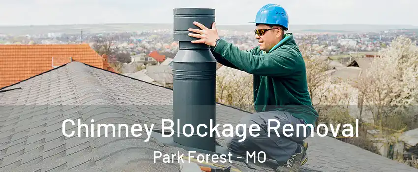 Chimney Blockage Removal Park Forest - MO