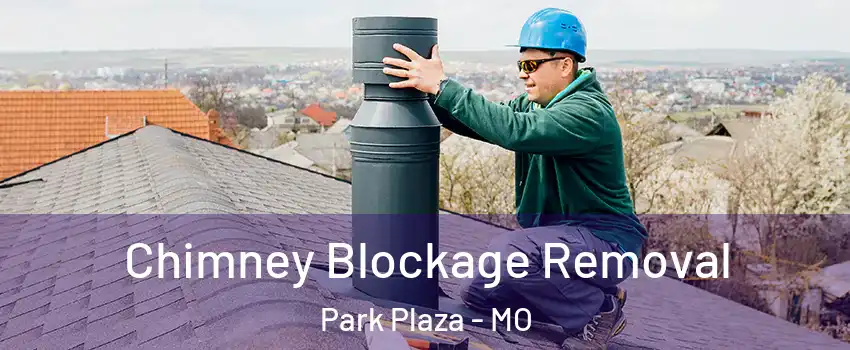 Chimney Blockage Removal Park Plaza - MO