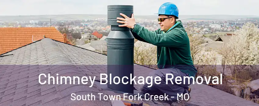 Chimney Blockage Removal South Town Fork Creek - MO