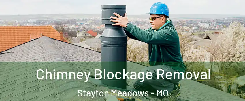 Chimney Blockage Removal Stayton Meadows - MO