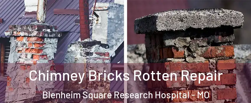 Chimney Bricks Rotten Repair Blenheim Square Research Hospital - MO