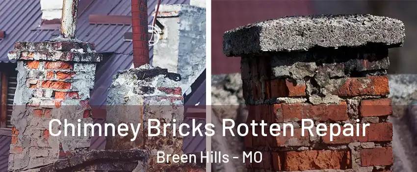 Chimney Bricks Rotten Repair Breen Hills - MO