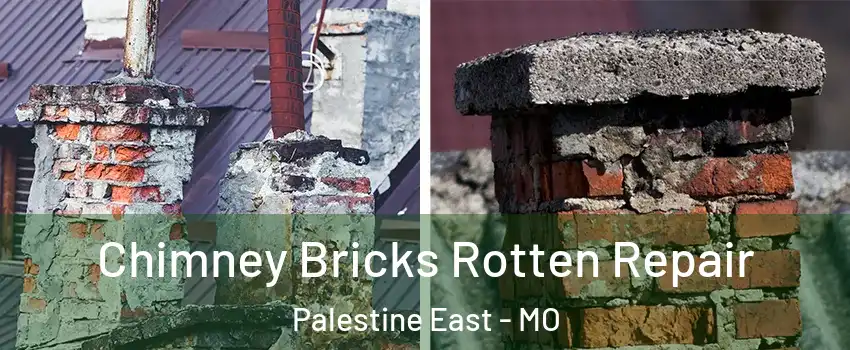 Chimney Bricks Rotten Repair Palestine East - MO