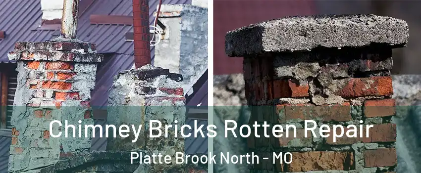 Chimney Bricks Rotten Repair Platte Brook North - MO