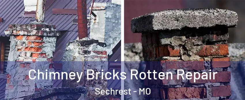 Chimney Bricks Rotten Repair Sechrest - MO