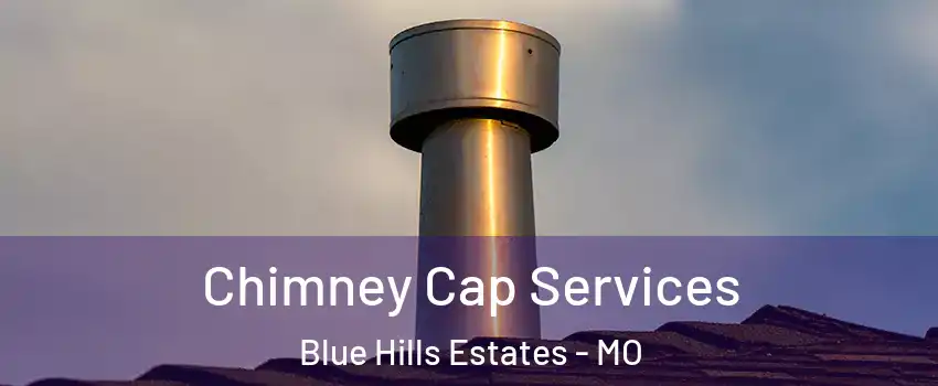 Chimney Cap Services Blue Hills Estates - MO