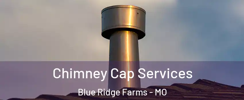 Chimney Cap Services Blue Ridge Farms - MO