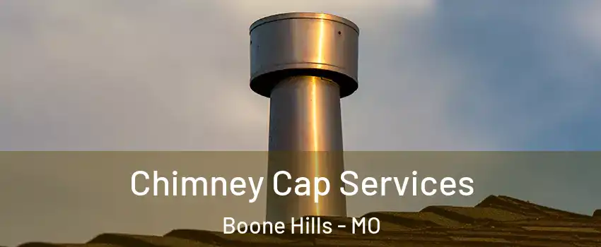 Chimney Cap Services Boone Hills - MO