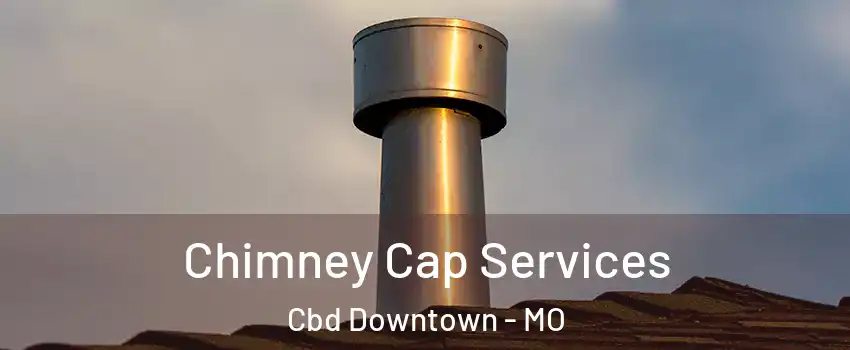 Chimney Cap Services Cbd Downtown - MO