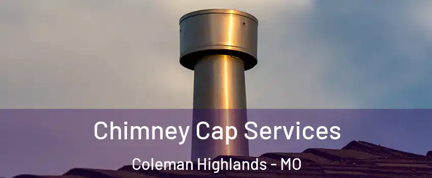 Chimney Cap Services Coleman Highlands - MO