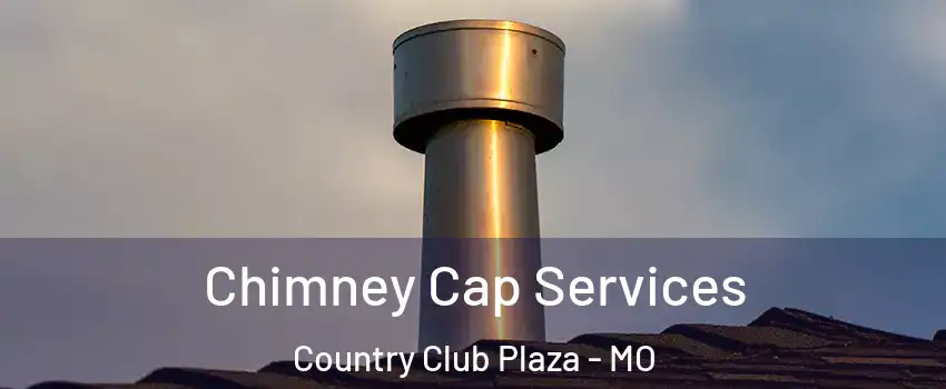 Chimney Cap Services Country Club Plaza - MO