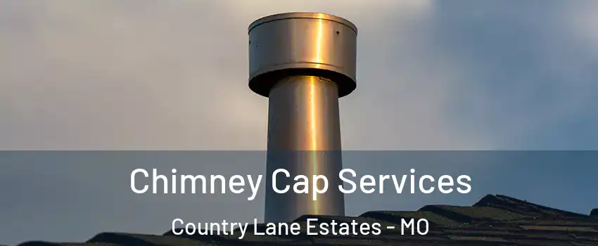 Chimney Cap Services Country Lane Estates - MO