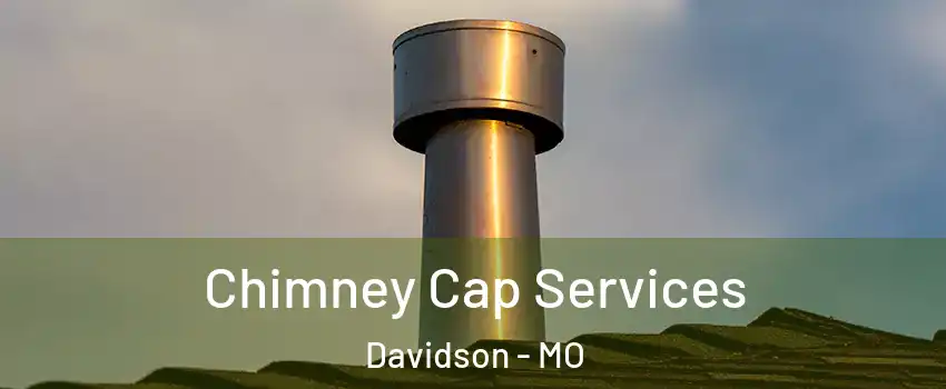 Chimney Cap Services Davidson - MO