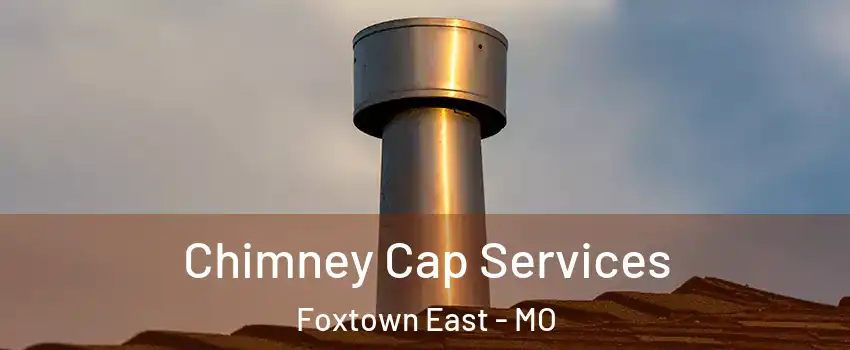 Chimney Cap Services Foxtown East - MO