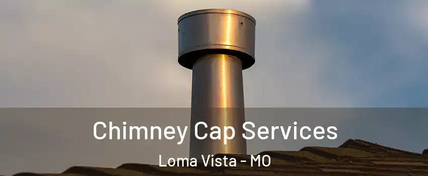 Chimney Cap Services Loma Vista - MO