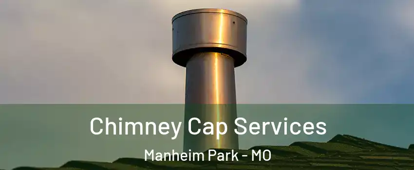 Chimney Cap Services Manheim Park - MO