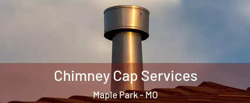 Chimney Cap Services Maple Park - MO