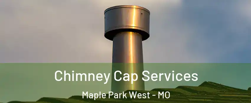 Chimney Cap Services Maple Park West - MO