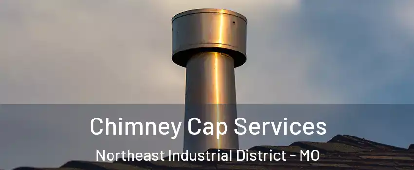 Chimney Cap Services Northeast Industrial District - MO