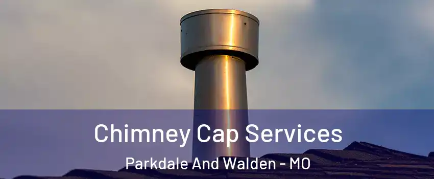 Chimney Cap Services Parkdale And Walden - MO