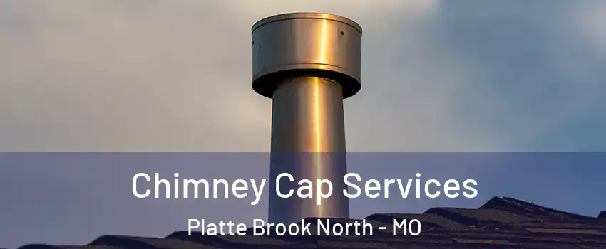 Chimney Cap Services Platte Brook North - MO