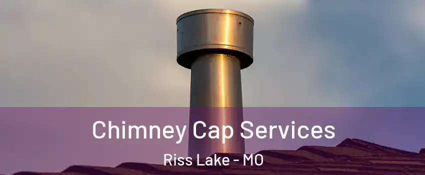 Chimney Cap Services Riss Lake - MO