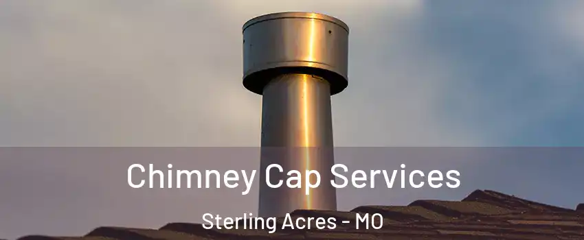 Chimney Cap Services Sterling Acres - MO