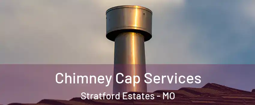 Chimney Cap Services Stratford Estates - MO