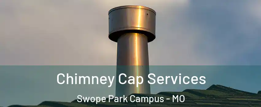 Chimney Cap Services Swope Park Campus - MO