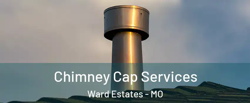 Chimney Cap Services Ward Estates - MO